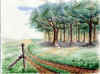 chemin